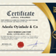 Law Firm of the Year Award at the Lawyers Global Awards 2024
